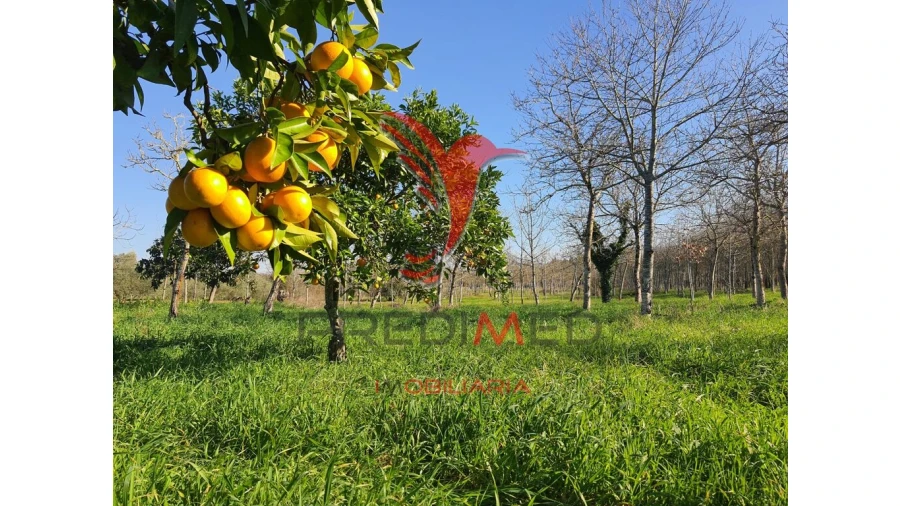 Quinta para Venda em Vilarinho do Bairro Foto 1