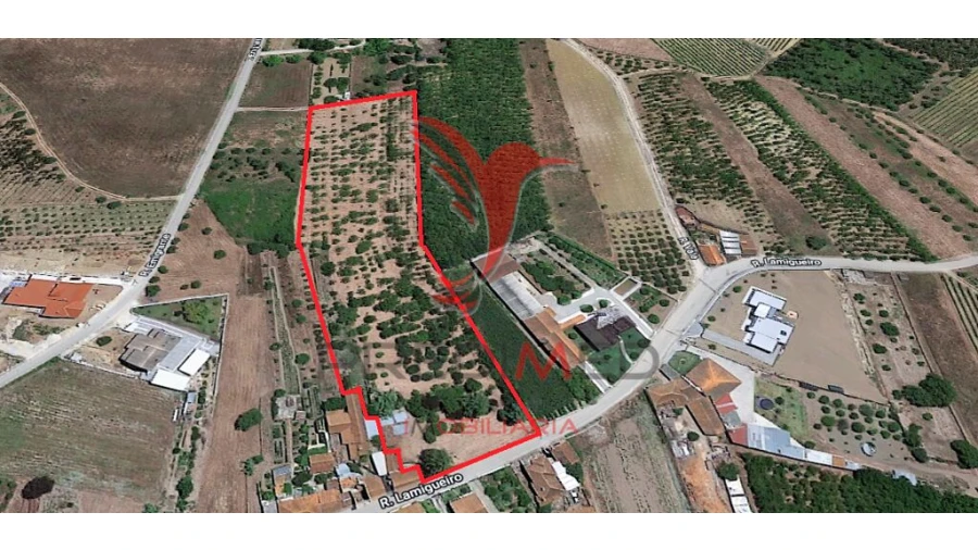 Quinta para Venda em Vilarinho do Bairro Foto 11