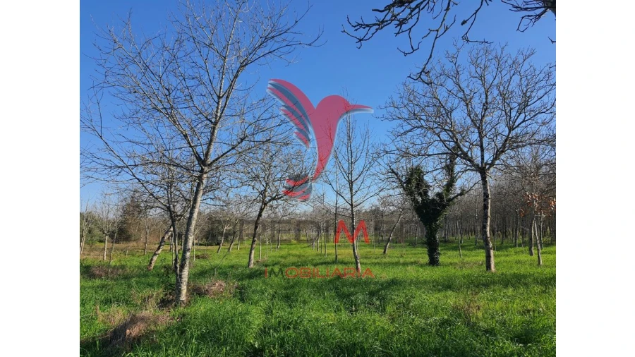 Quinta para Venda em Vilarinho do Bairro Foto 4