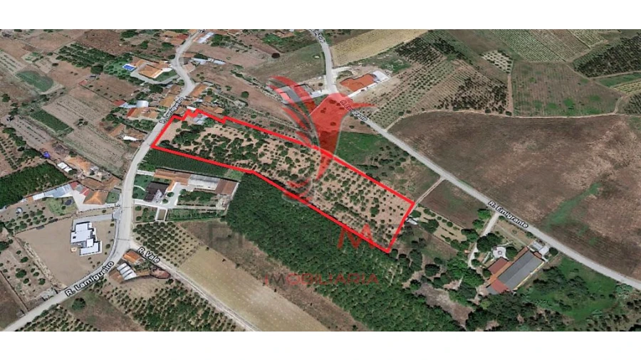 Quinta para Venda em Vilarinho do Bairro Foto 12