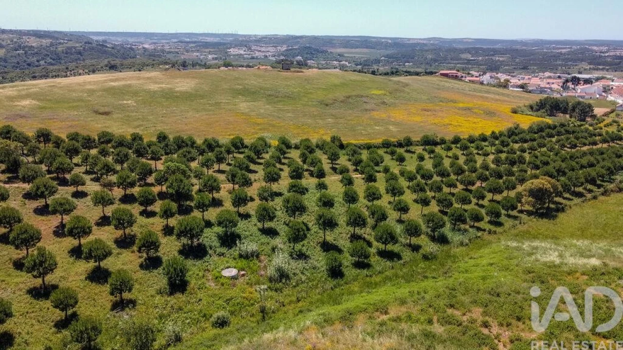 Terreno para Venda em Gaeiras Foto 4
