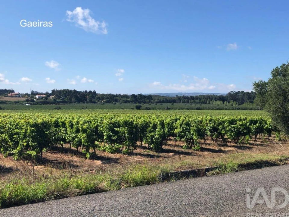 Terreno para Venda em Gaeiras Foto 14