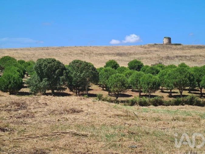 Terreno para Venda em Gaeiras Foto 8