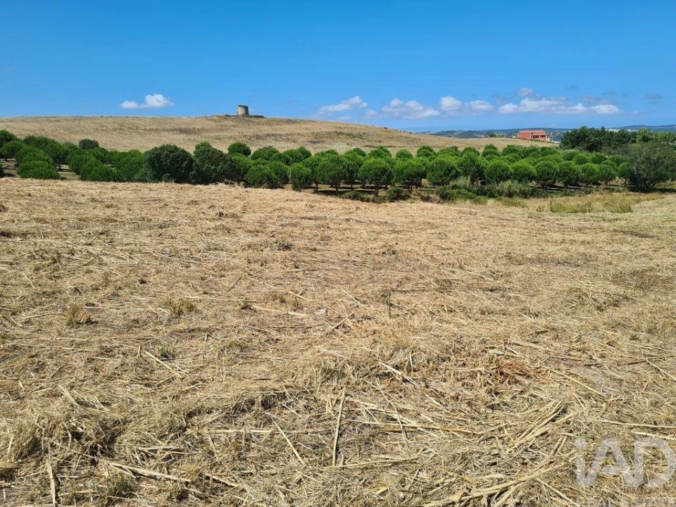 Terreno para Venda em Gaeiras Foto 10