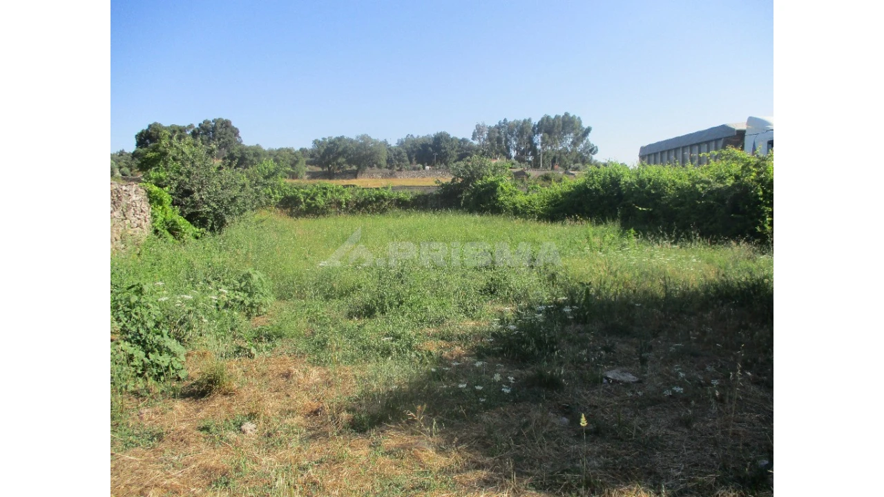 Terreno para Venda em Alcains Foto 1