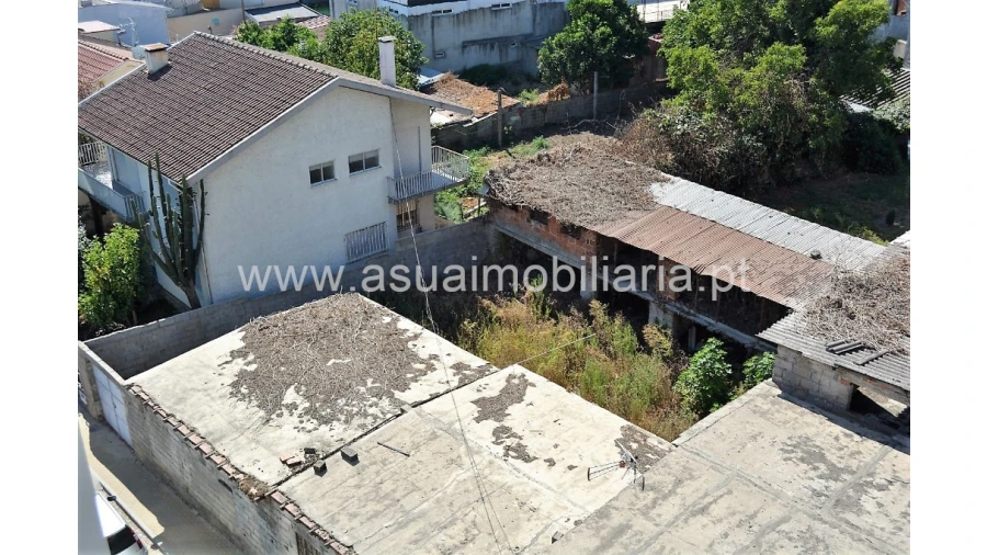 Terreno para Venda em Ferreiros, Prozelo e Besteiros Foto 6