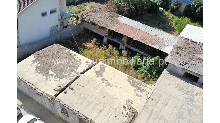 Terreno para Venda em Ferreiros, Prozelo e Besteiros Foto 4