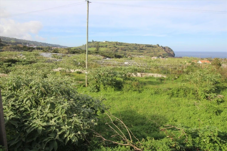 Terreno para Venda em Capelas Foto 2