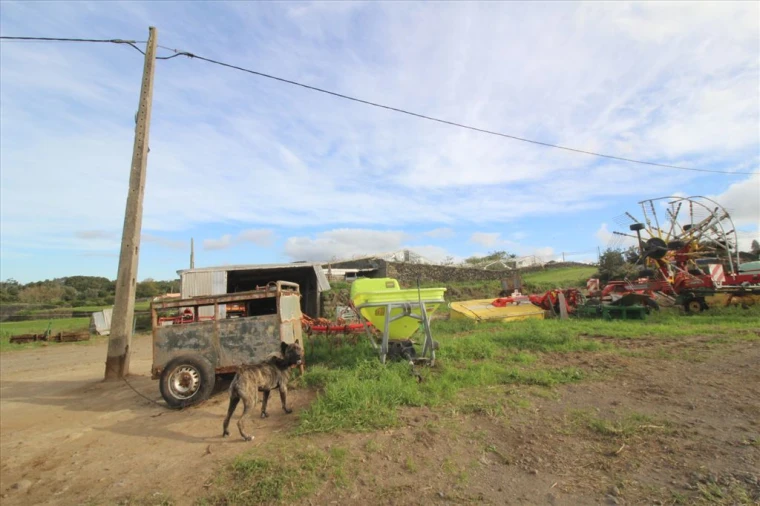 Terreno para Venda em Capelas Foto 18