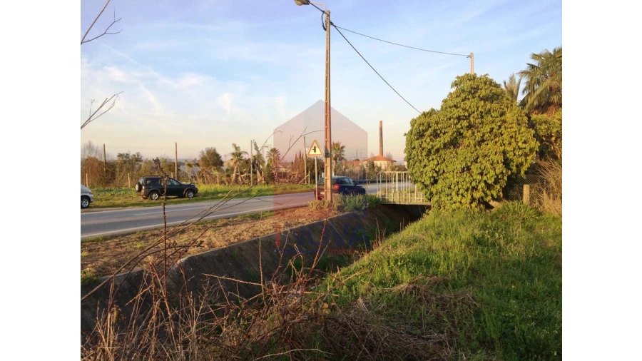 Terreno para Venda em Cabanelas Foto 9