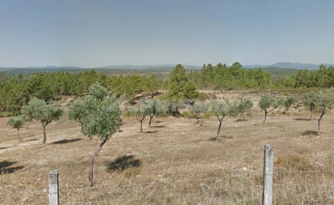 Terreno para Venda em Benquerenças Foto 4