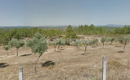 Terreno para Venda em Benquerenças