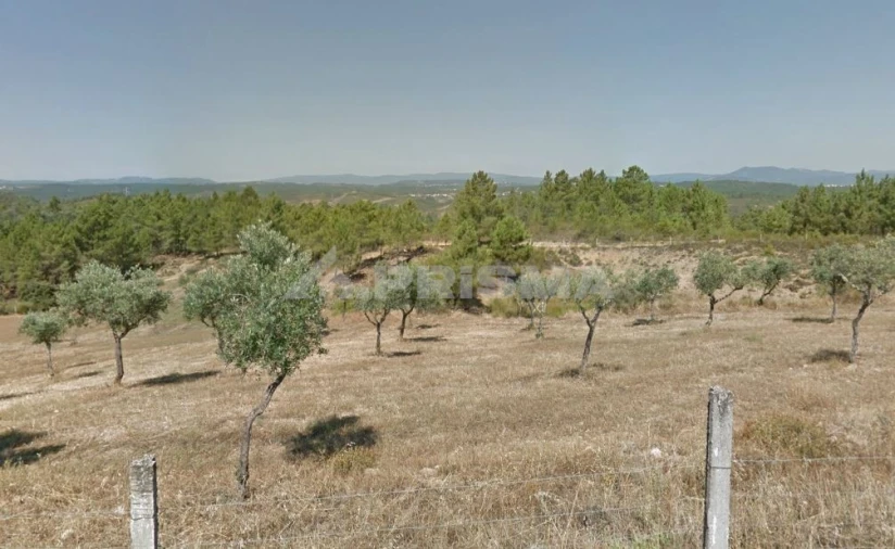 Terreno para Venda em Benquerenças Foto 4