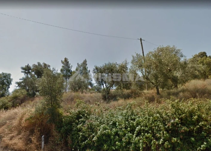 Terreno para Venda em Benquerenças Foto 2