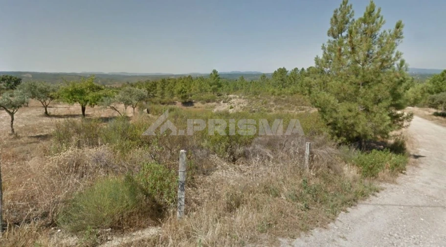 Terreno para Venda em Benquerenças Foto 3