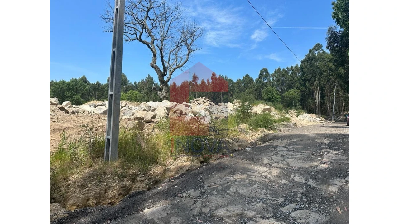 Terreno para Venda em Escariz (São Mamede) e Escariz (São Martinho) Foto 10