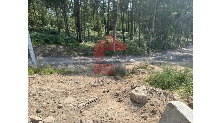 Terreno para Venda em Escariz (São Mamede) e Escariz (São Martinho) Foto 5