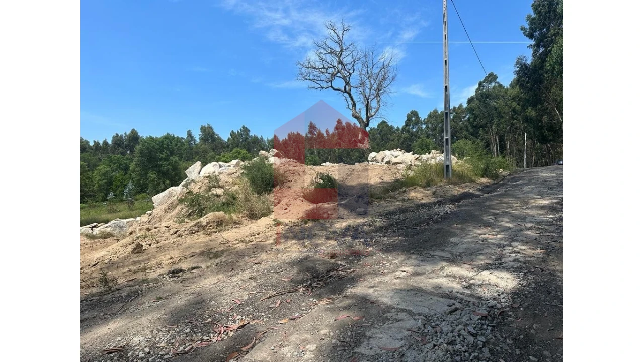 Terreno para Venda em Escariz (São Mamede) e Escariz (São Martinho) Foto 8