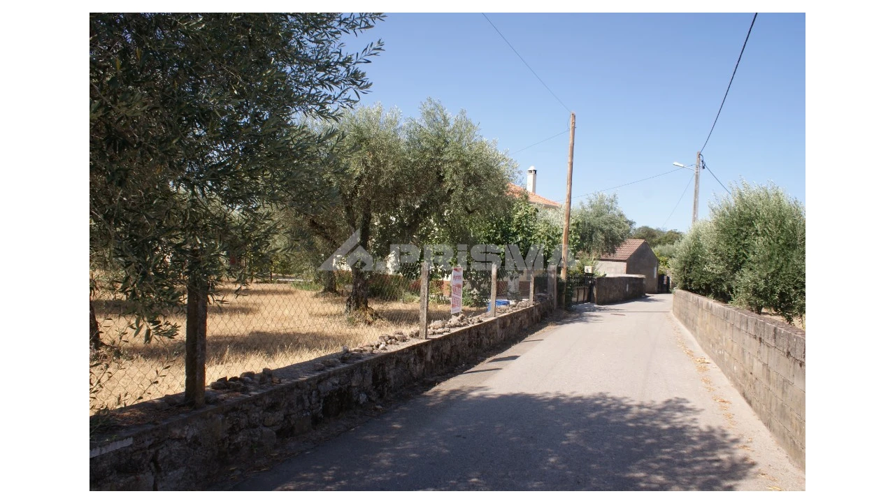 Terreno para Venda em Pedrógão de São Pedro e Bemposta Foto 5