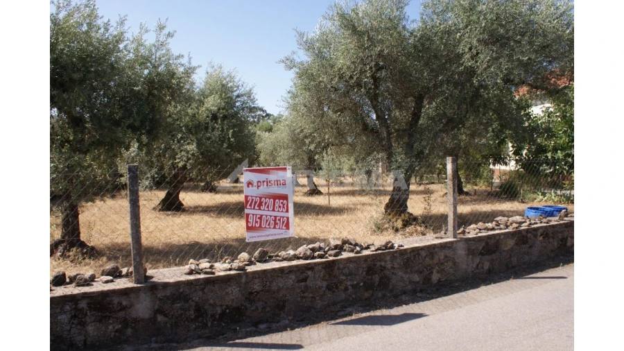 Terreno para Venda em Pedrógão de São Pedro e Bemposta Foto 3