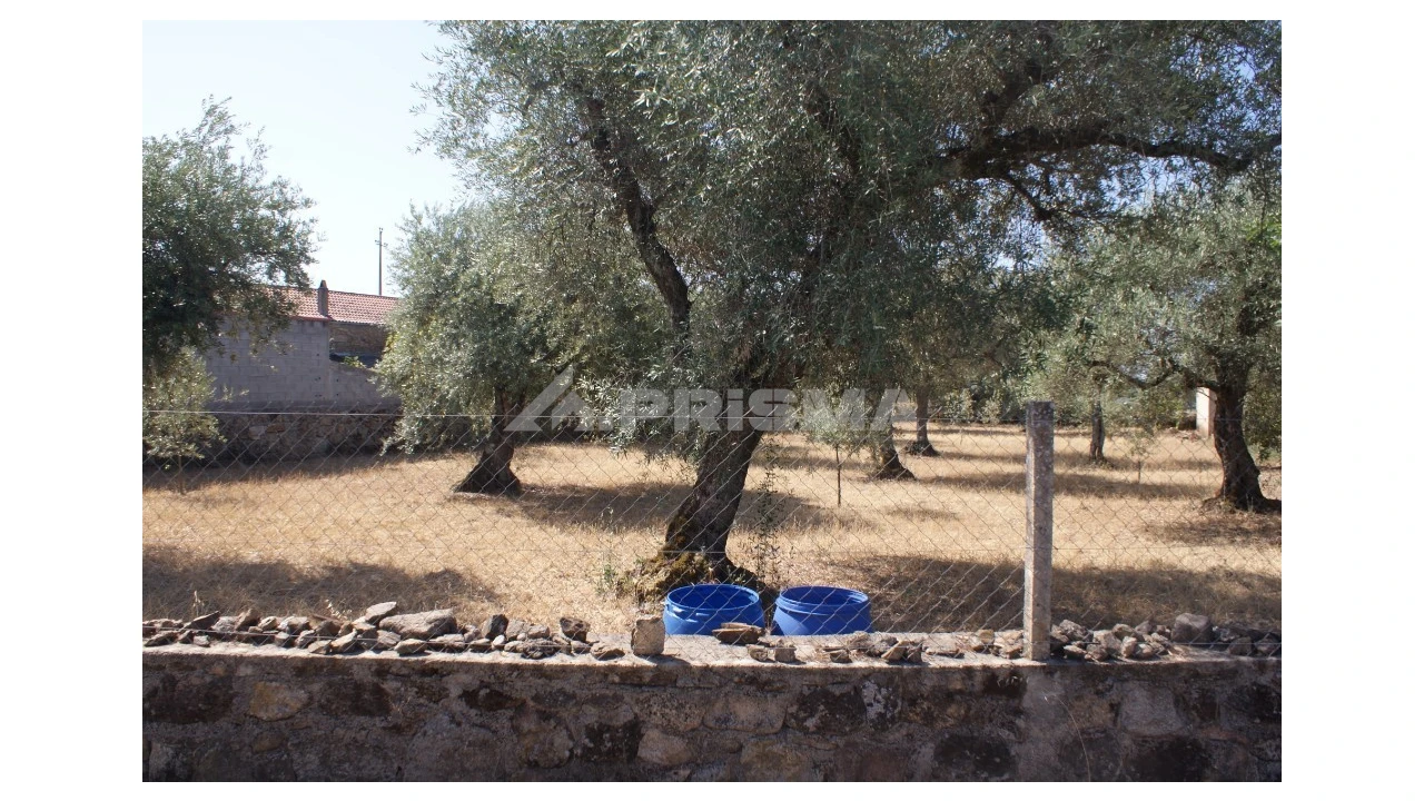 Terreno para Venda em Pedrógão de São Pedro e Bemposta Foto 2