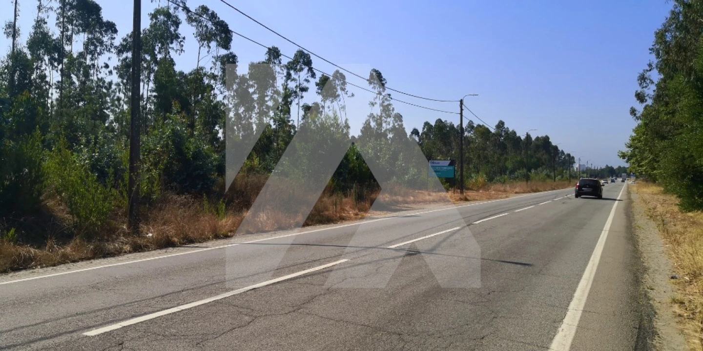 Terreno para Venda em Ovar, São João, Arada e São Vicente de Pereira Jusã Foto 1