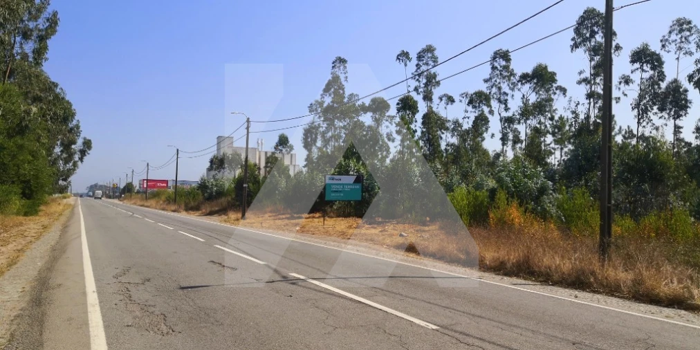 Terreno para Venda em Ovar, São João, Arada e São Vicente de Pereira Jusã Foto 2