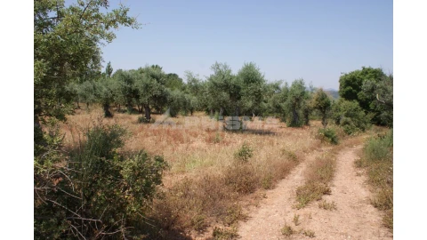 Terreno para Venda em Freixial e Juncal do Campo