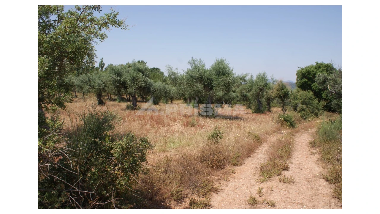 Terreno para Venda em Freixial e Juncal do Campo Foto 2