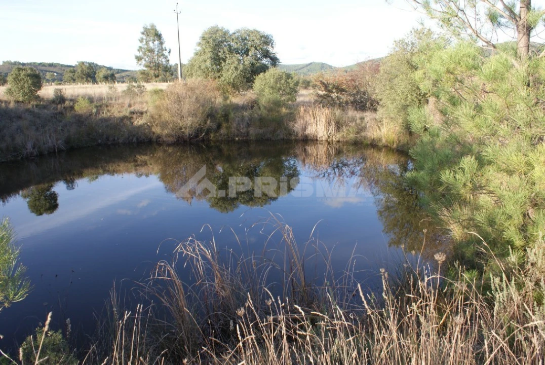 Terreno para Venda em Freixial e Juncal do Campo Foto 1