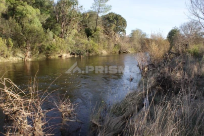 Terreno para Venda em Freixial e Juncal do Campo
