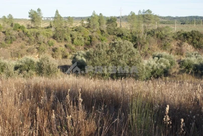 Terreno para Venda em Freixial e Juncal do Campo