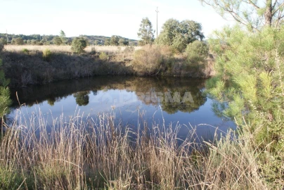 Terreno para Venda em Freixial e Juncal do Campo