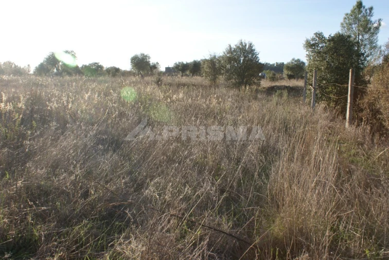 Terreno para Venda em Freixial e Juncal do Campo Foto 4