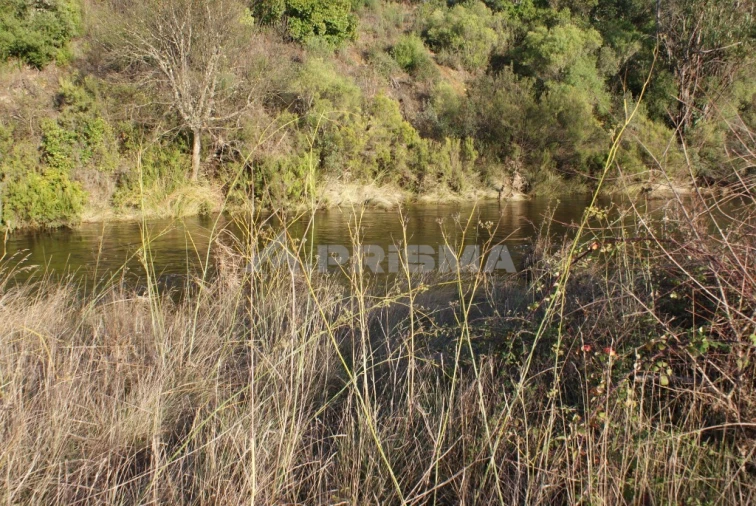 Terreno para Venda em Freixial e Juncal do Campo Foto 7