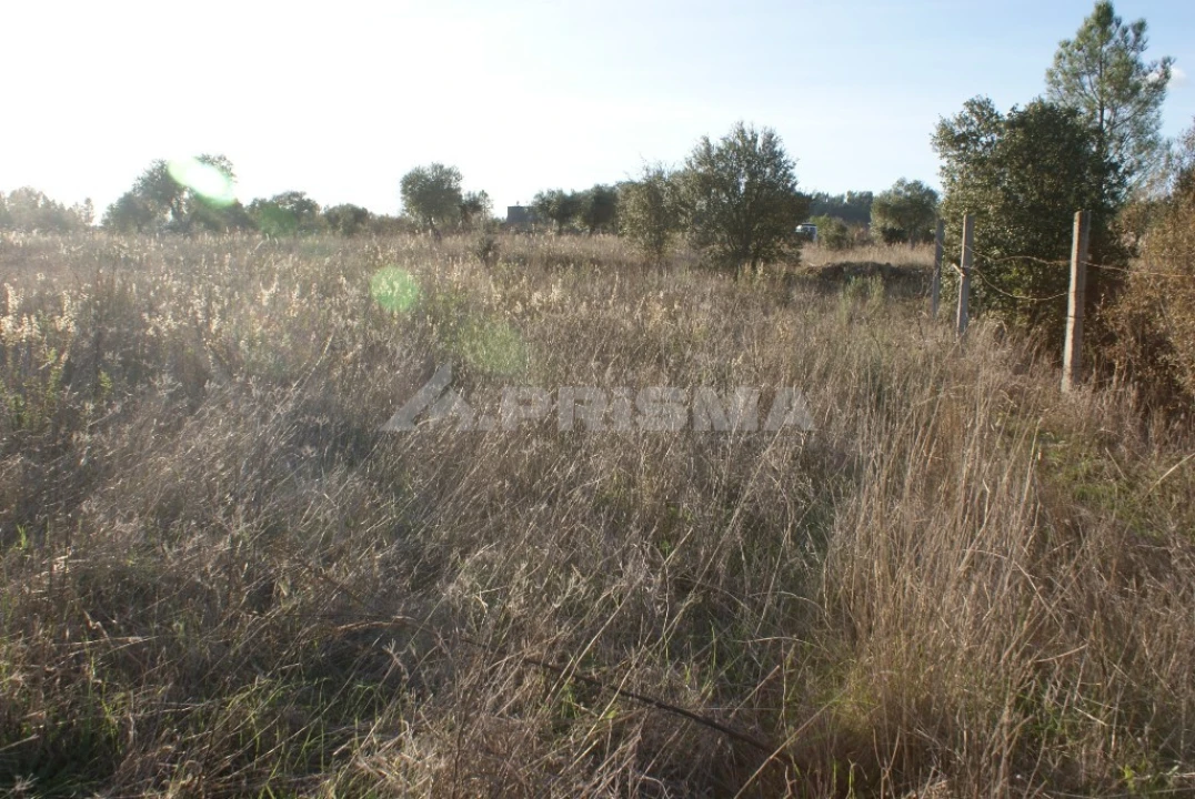 Terreno para Venda em Freixial e Juncal do Campo Foto 4