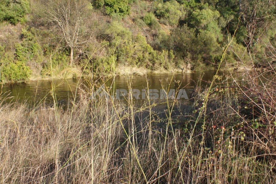 Terreno para Venda em Freixial e Juncal do Campo Foto 7