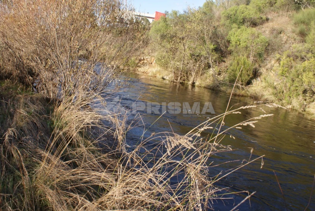 Terreno para Venda em Freixial e Juncal do Campo Foto 10