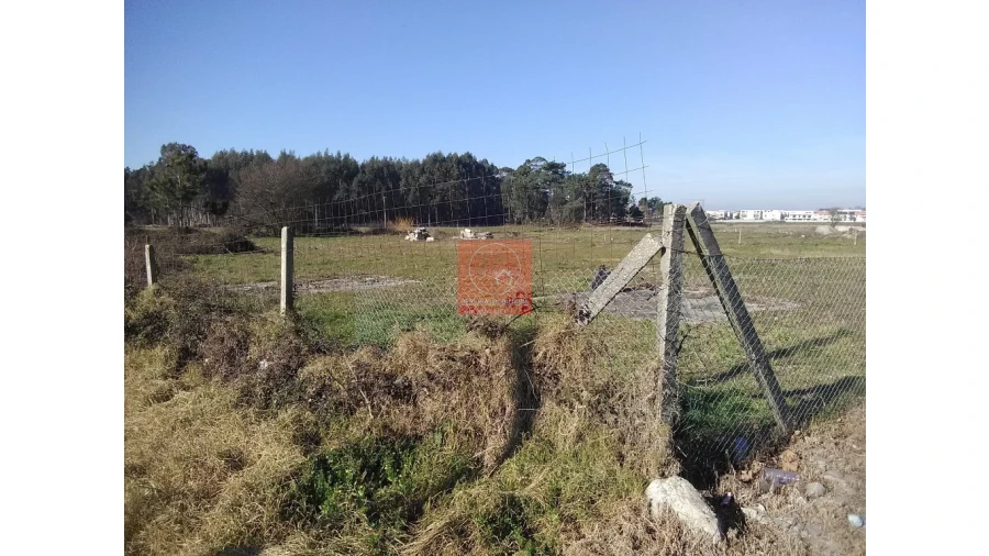 Terreno para Arrendamento em Esposende, Marinhas e Gandra Foto 7
