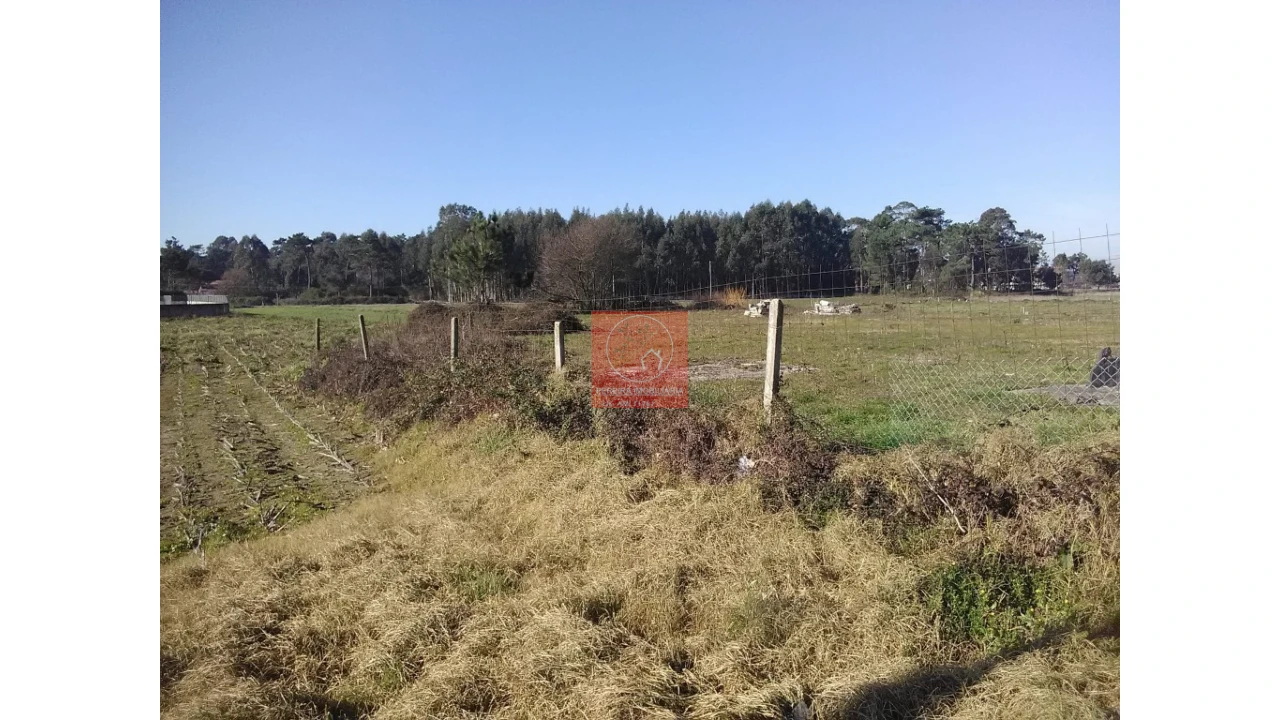 Terreno para Arrendamento em Esposende, Marinhas e Gandra Foto 6