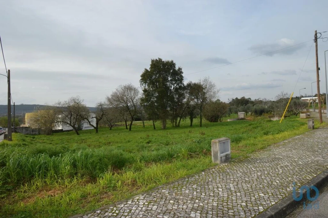 Terreno para Venda em Chão de Couce Foto 2