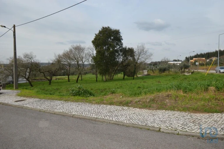 Terreno para Venda em Chão de Couce Foto 1