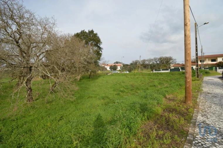 Terreno para Venda em Chão de Couce Foto 6