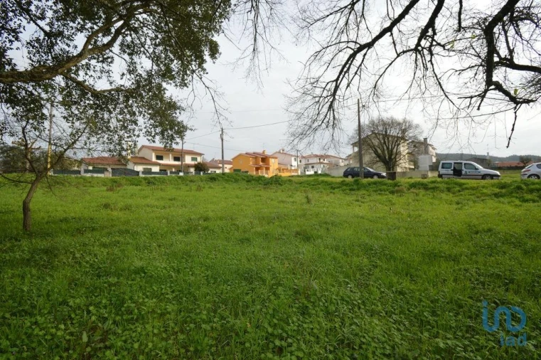 Terreno para Venda em Chão de Couce Foto 5