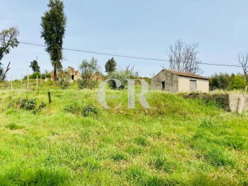 Quinta T3 para Venda em Graça