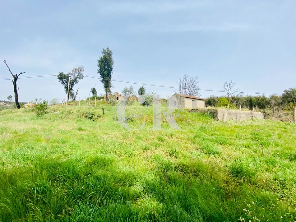 Quinta T3 para Venda em Graça Foto 8