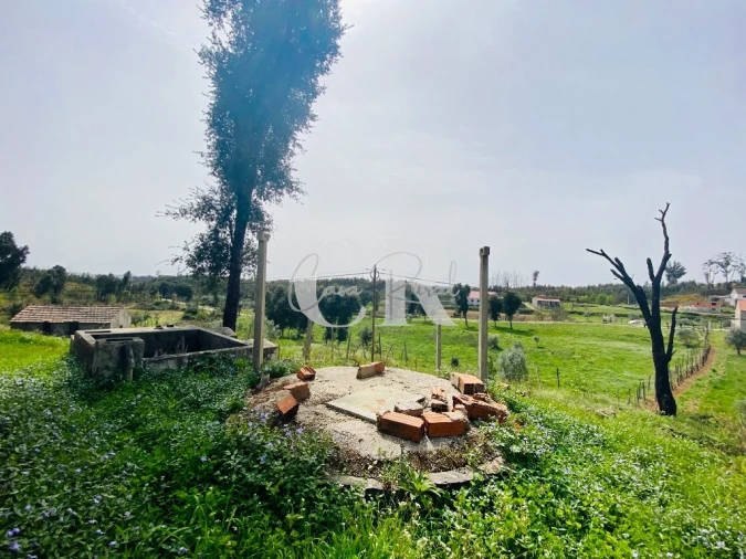 Quinta T3 para Venda em Graça Foto 4
