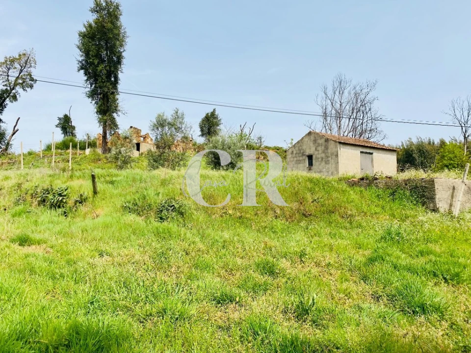 Quinta T3 para Venda em Graça Foto 9