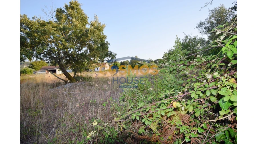 Moradia T2 para Venda em Evora de Alcobaça Foto 13