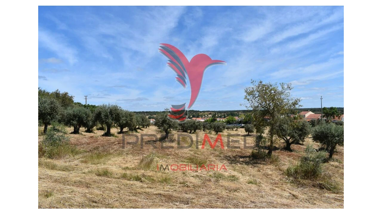 Terreno para Venda em São Domingos e Vale de Água Foto 8